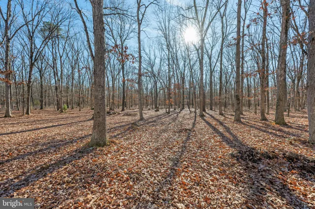 $705,000 | 148 Trimmel Avenue, Franklinville, NJ 08322