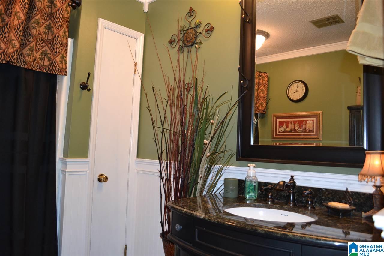 164 Tiny Kingdom Road Remlap, AL 35133 - Photo 22 of 48 Gallery Image 22