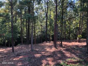 122 Laurel Ridge Forsyth, GA 31029 - Photo 1 of 1 Laurel Ridge Lot Pic