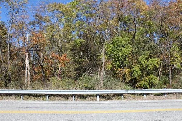 a view of a yard with trees