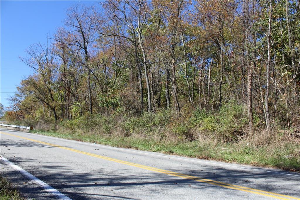 800-block Eldersville Road Burgettstown, PA 15021 - Photo 5 of 10 a view of a yard with trees