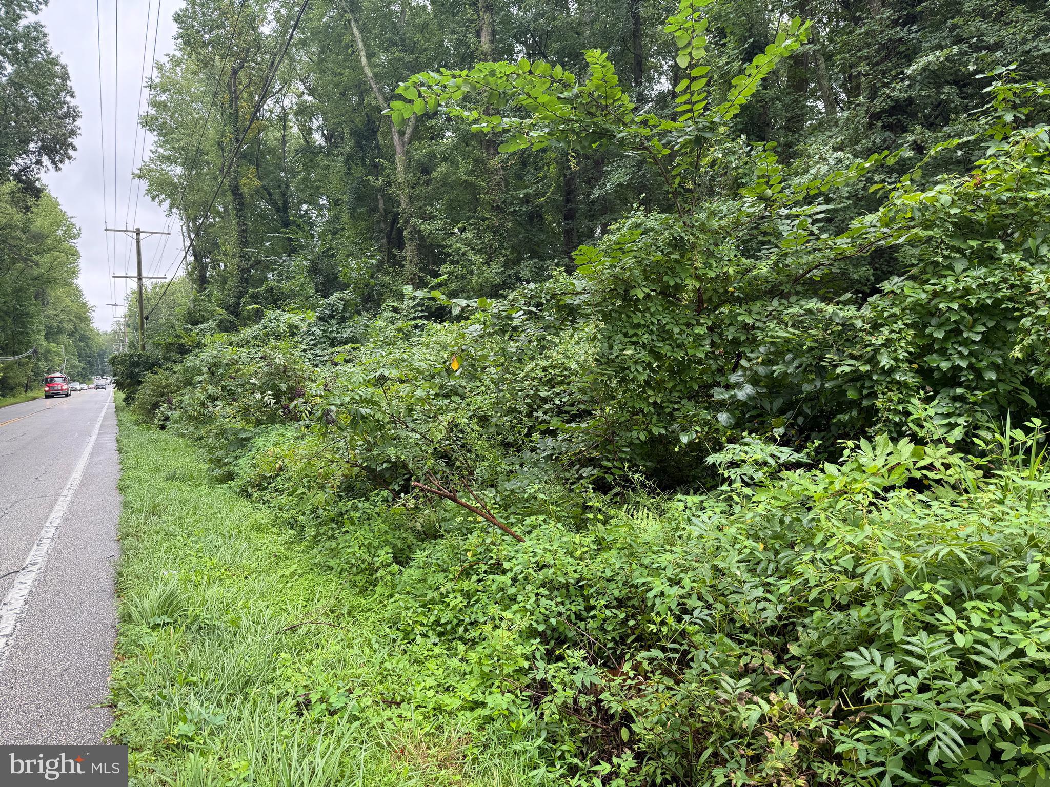 Mayo Road Edgewater, MD 21037 - Photo 12 of 17 an aerial view of a house with a lush green forest