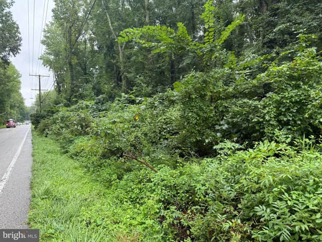 a view of a forest from a window