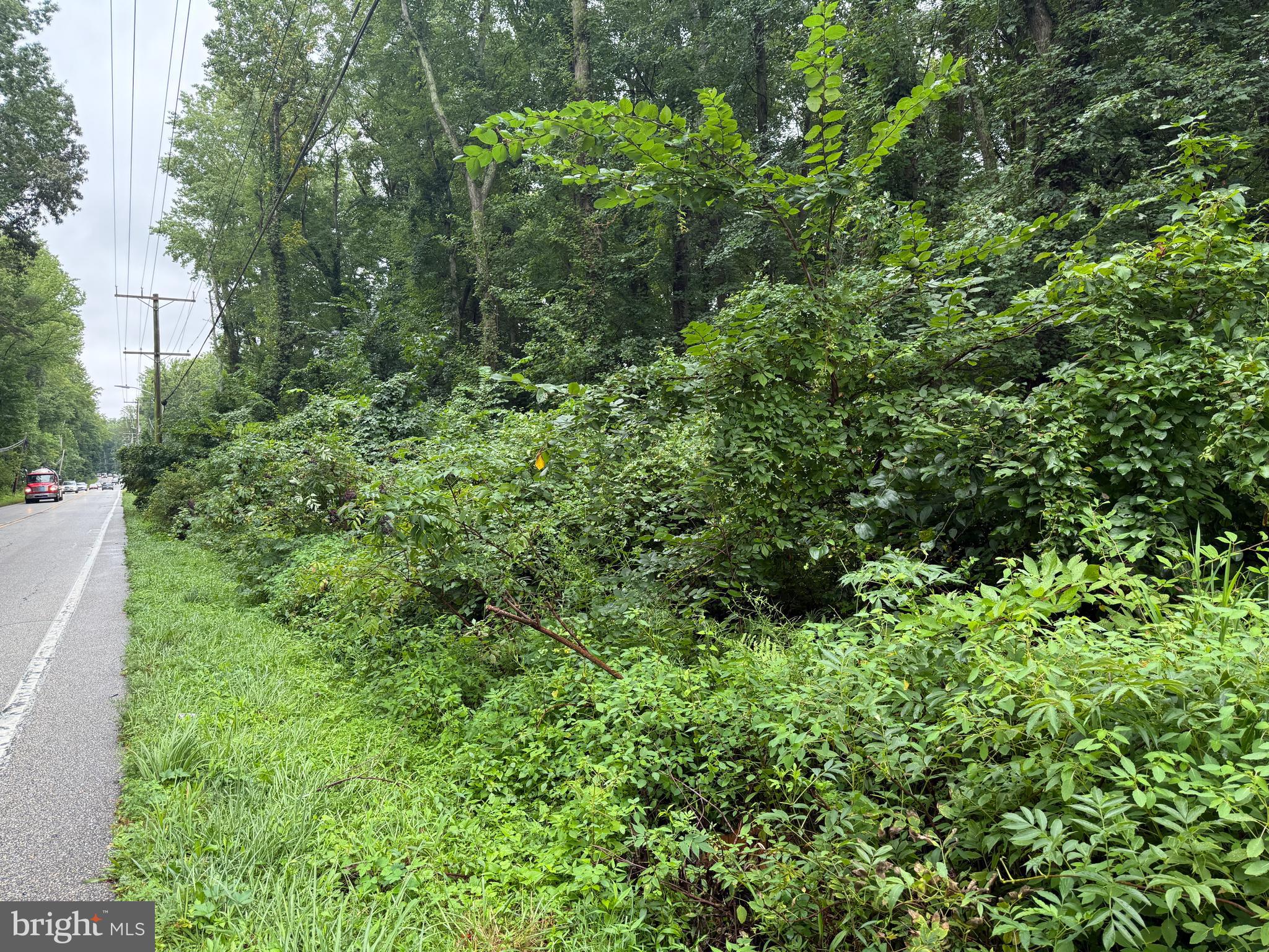 Mayo Road Edgewater, MD 21037 - Photo 13 of 17 a view of a lush green forest with lots of trees
