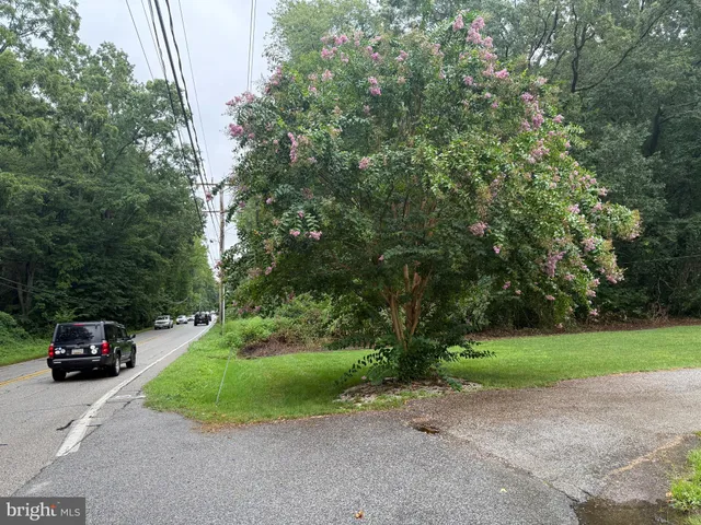 a view of a pathway both side of yard