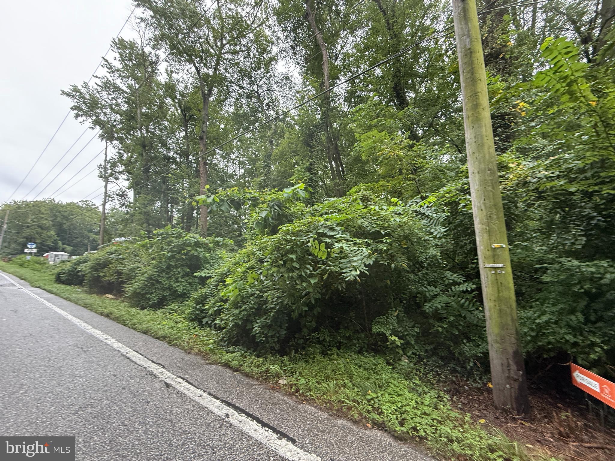 Mayo Road Edgewater, MD 21037 - Photo 16 of 17 a view of a forest from a window
