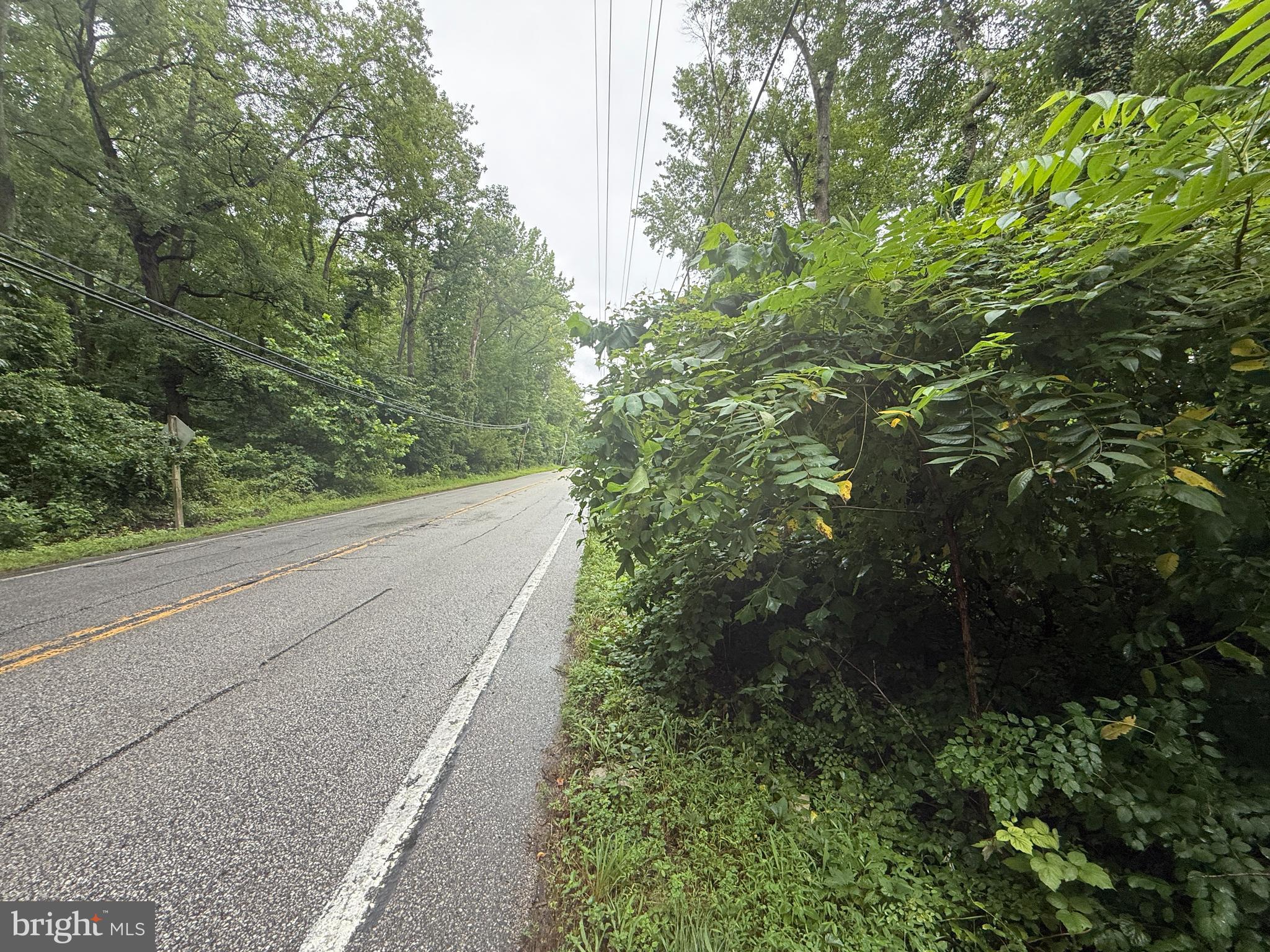 Mayo Road Edgewater, MD 21037 - Photo 17 of 17 a view of a pathway both side of yard