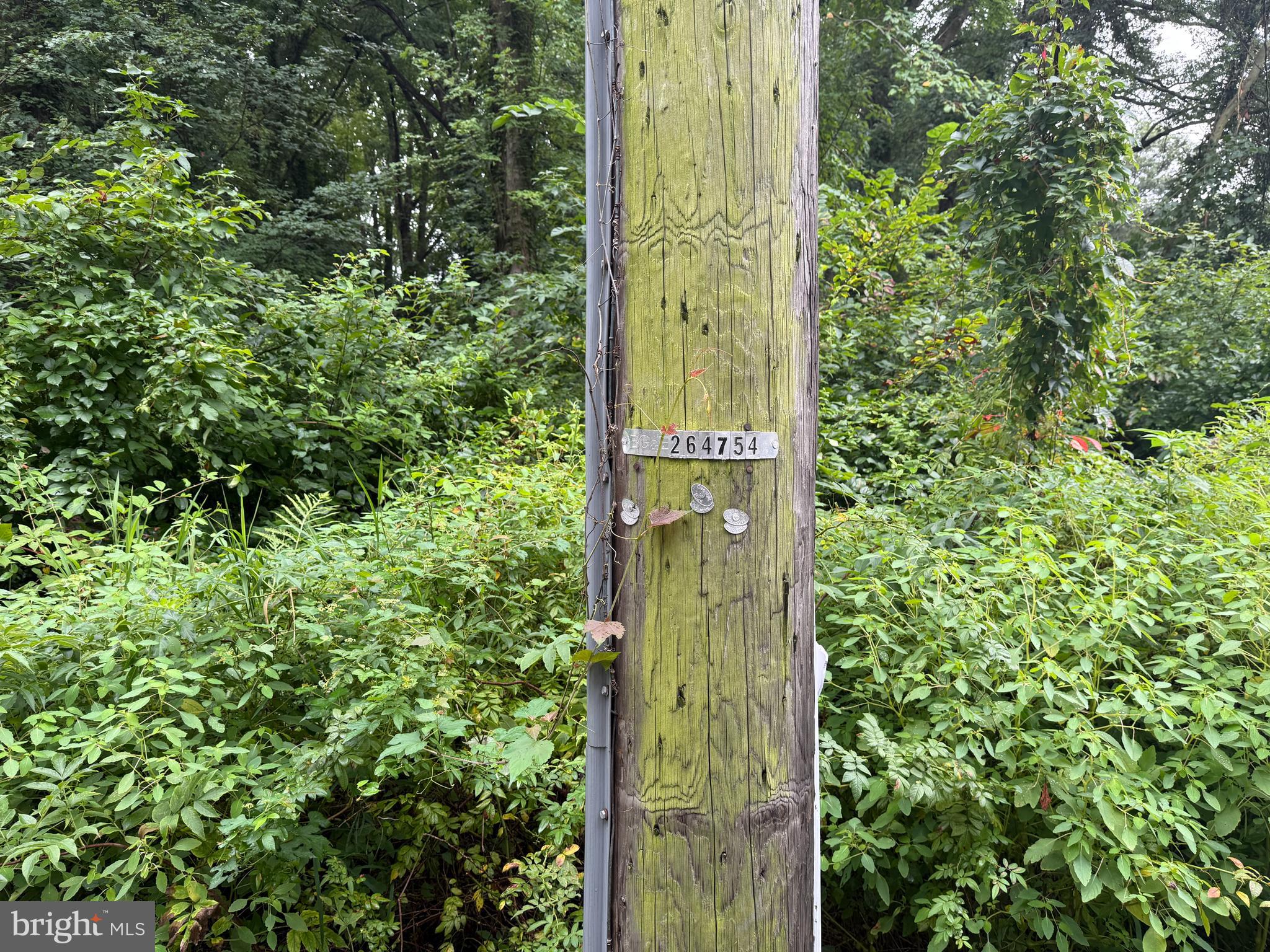 Mayo Road Edgewater, MD 21037 - Photo 2 of 17