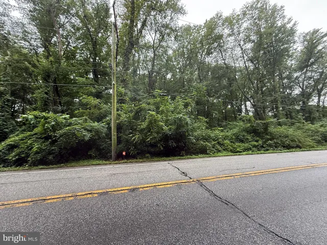 a view of a road with a trees