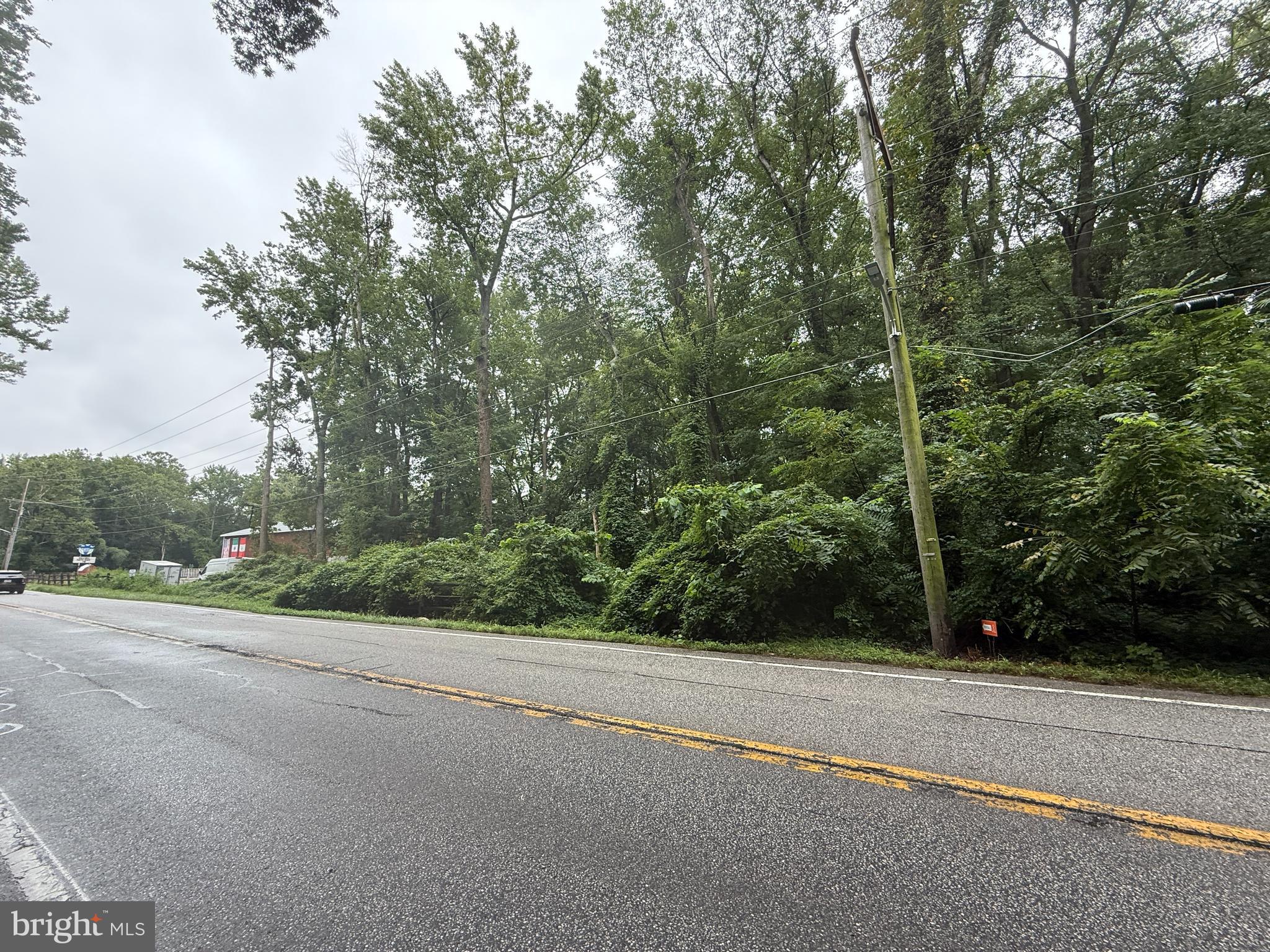 Mayo Road Edgewater, MD 21037 - Photo 7 of 17 a view of a road with a trees