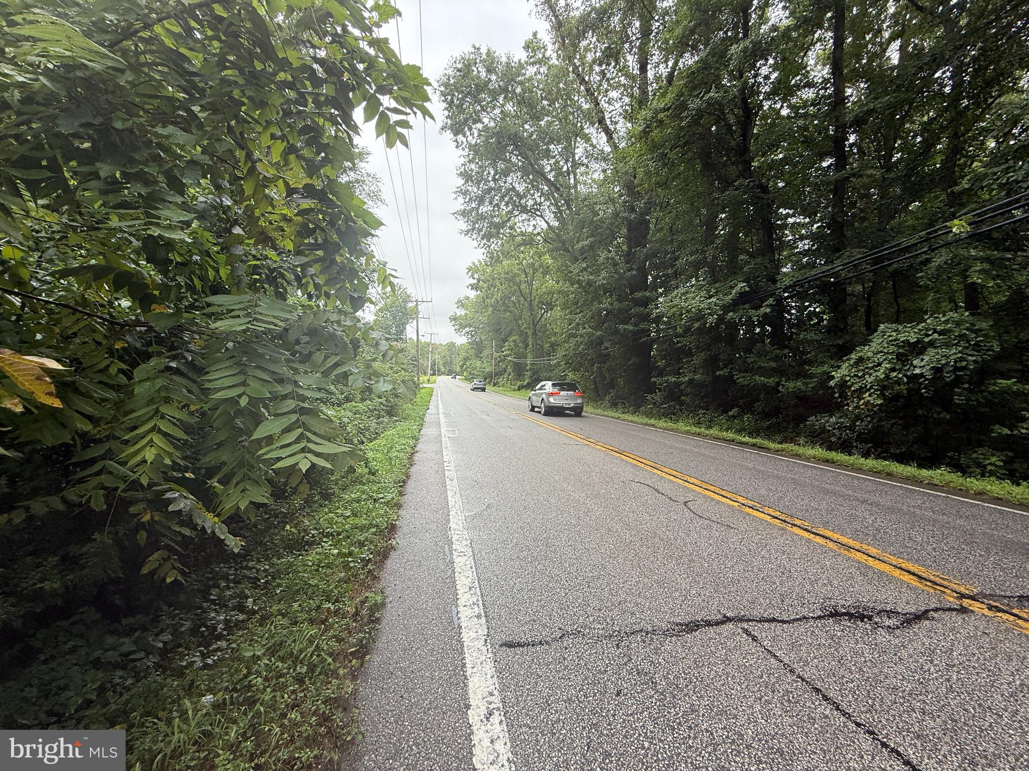 Mayo Road Edgewater, MD 21037 - Photo 9 of 17 a view of a yard with plants and large trees
