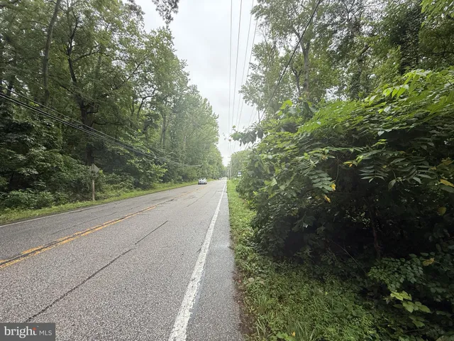 a view of a lush green forest with lots of trees