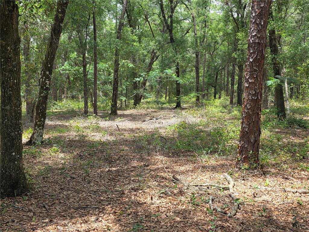 Rolling Ares Road West Lady Lake, FL 32159 - Photo 44 of 48 Gallery Image 44