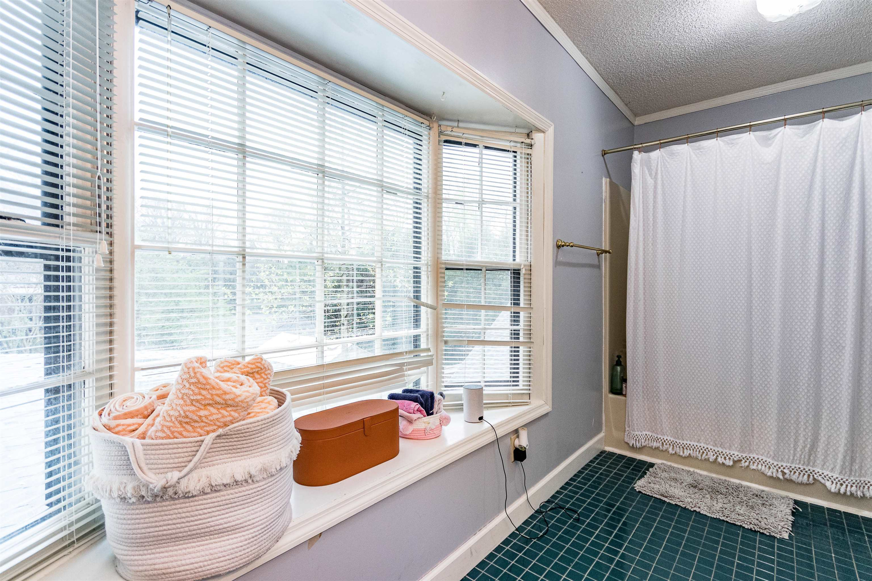 618 Brooks Avenue Raleigh, NC 27607 - Photo 22 of 27 a room with window and furniture