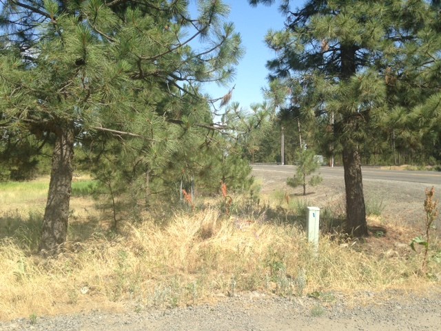 Nna West Deno Road Spokane, WA 99224 - Photo 11 of 14