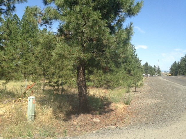 Nna West Deno Road Spokane, WA 99224 - Photo 12 of 14