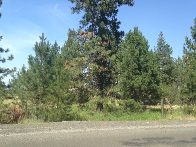 Nna West Deno Road Spokane, WA 99224 - Photo 13 of 14