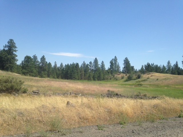 Nna West Deno Road Spokane, WA 99224 - Photo 4 of 14