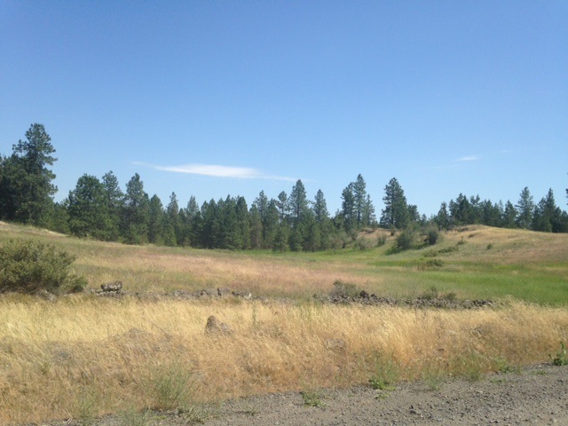 Nna West Deno Road Spokane, WA 99224 - Photo 5 of 14