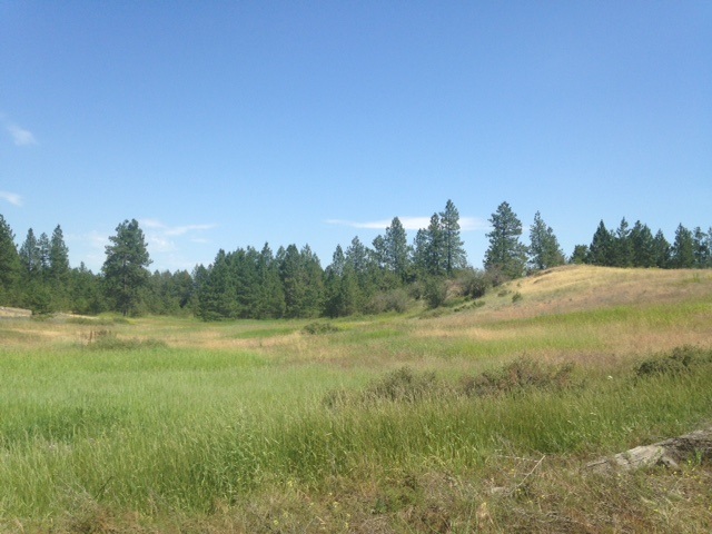 Nna West Deno Road Spokane, WA 99224 - Photo 6 of 14