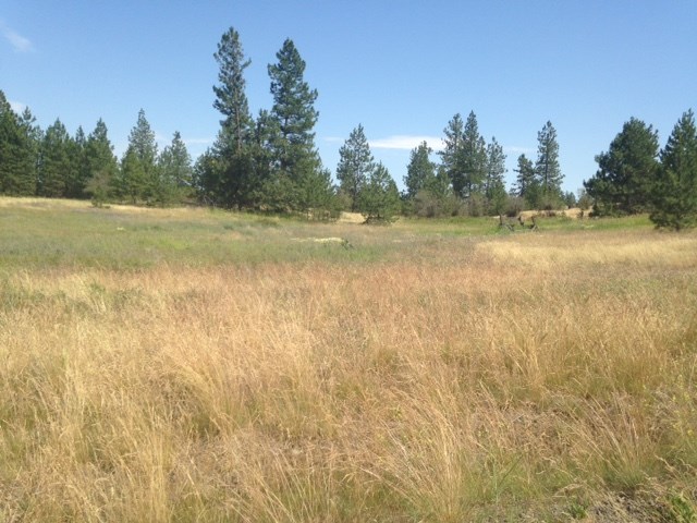 Nna West Deno Road Spokane, WA 99224 - Photo 7 of 14