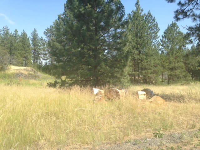 Nna West Deno Road Spokane, WA 99224 - Photo 9 of 14