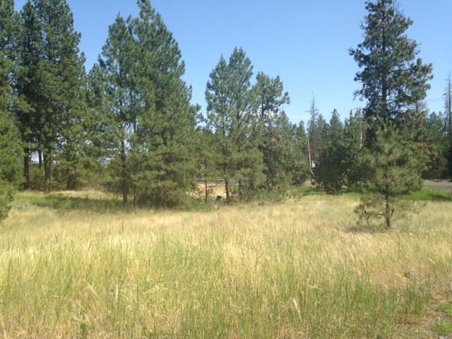 Nna West Deno Road Spokane, WA 99224 - Photo 10 of 14