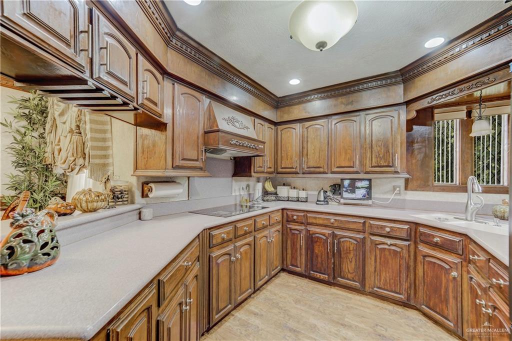 228 Oak Ridge Drive Rio Grande City, TX 78582 - Photo 6 of 21