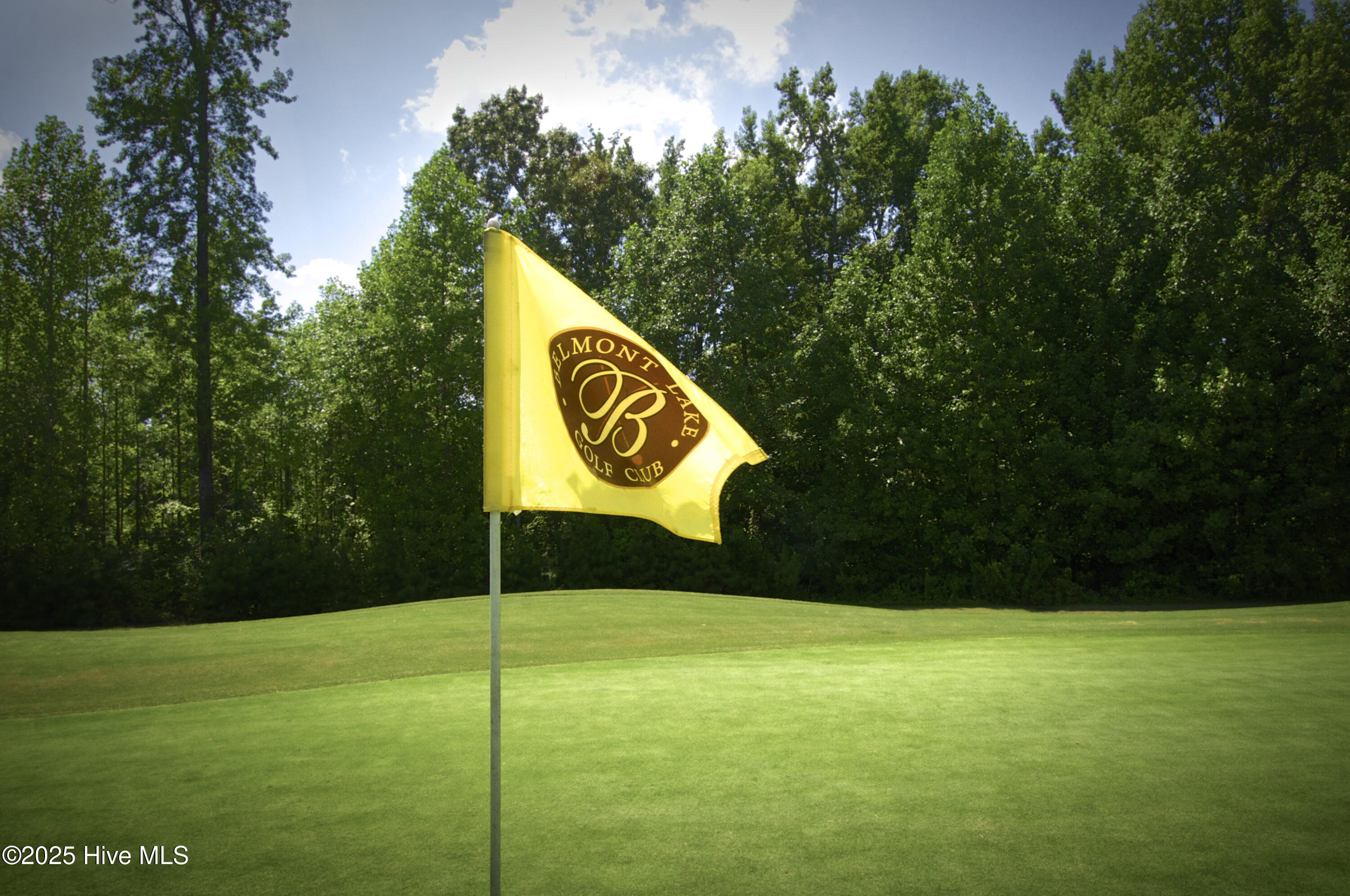 20 Portland Rocky Mount, NC 27804 - Photo 3 of 23 18 Hole Golf Course