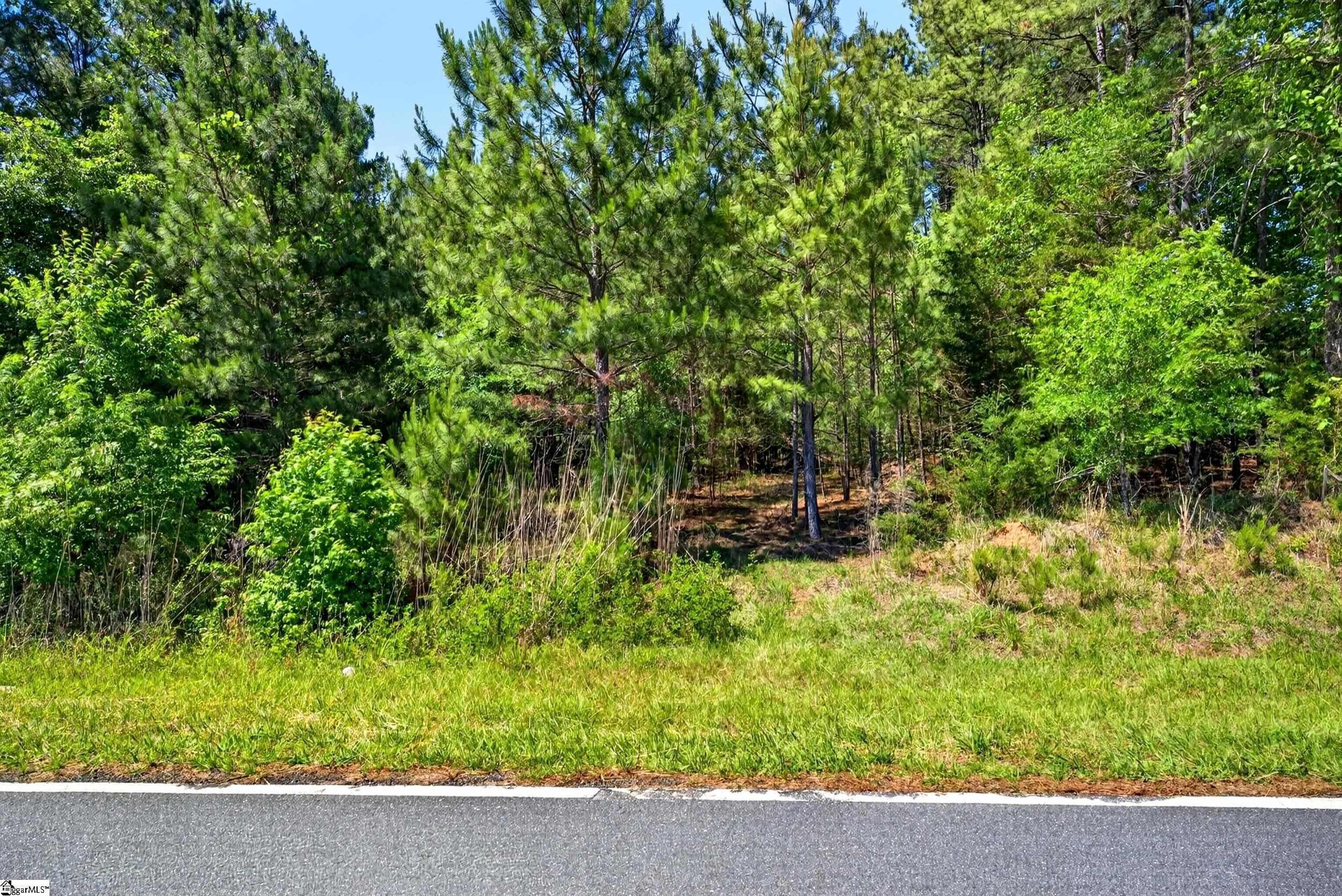 0 Gowdeysville Road, Unit LOT 1 Gaffney, SC 29340 - Photo 4 of 11