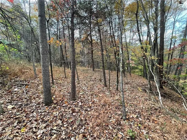 $392,357 | 17.06 Johnson Road, King, NC 27021