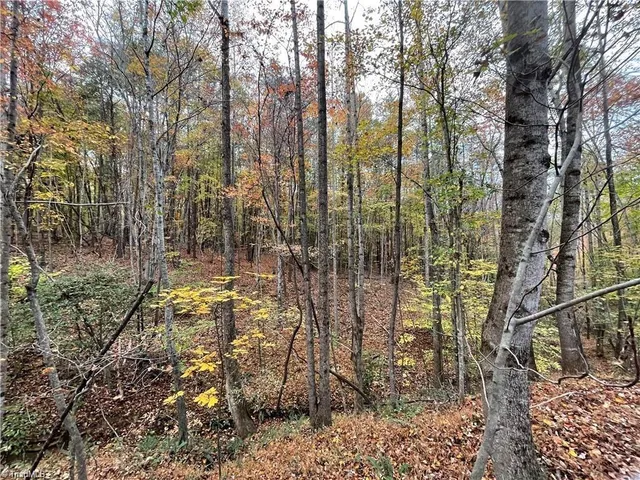 $392,357 | 17.06 Johnson Road, King, NC 27021