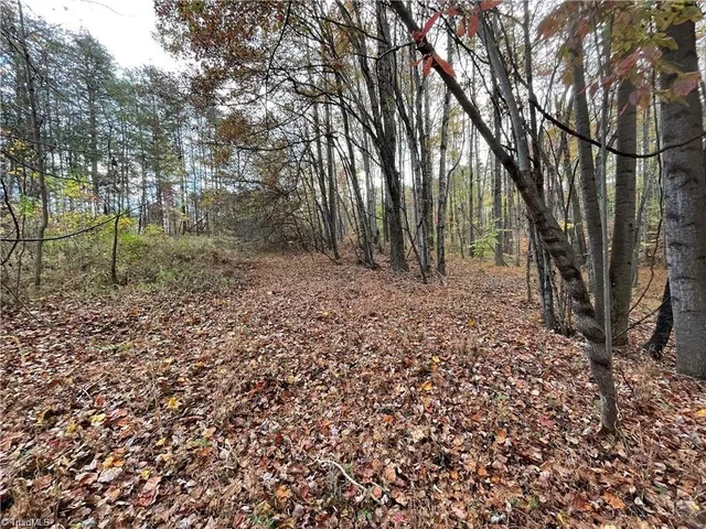 $392,357 | 17.06 Johnson Road, King, NC 27021