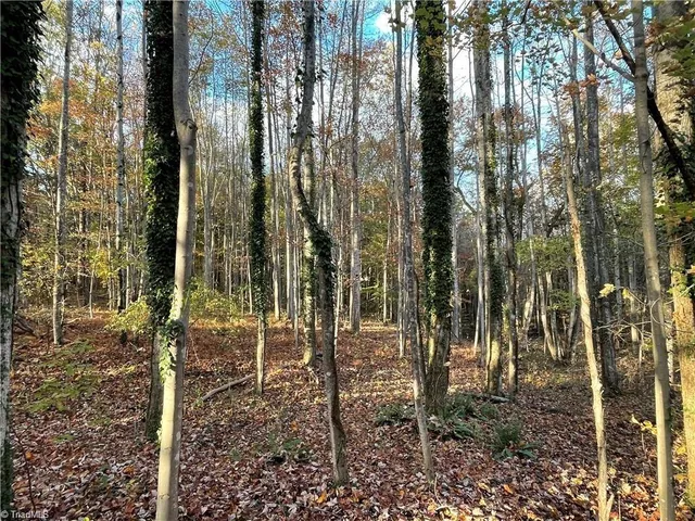 $392,357 | 17.06 Johnson Road, King, NC 27021