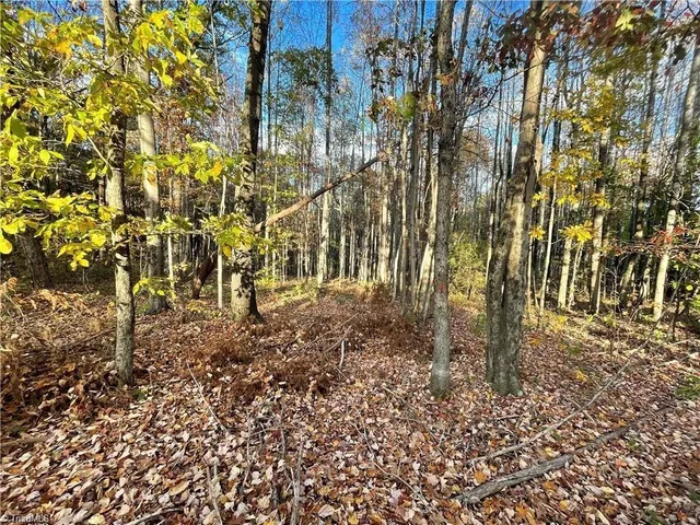 $392,357 | 17.06 Johnson Road, King, NC 27021