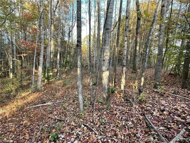 $392,357 | 17.06 Johnson Road, King, NC 27021