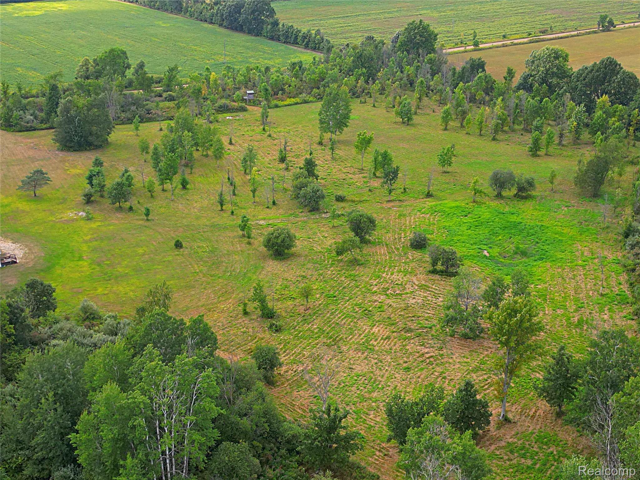 11365 Littlefield Road Blanchard, MI 49310 - Photo 15 of 68 Expansive open fields with varied green foliage and mature trees