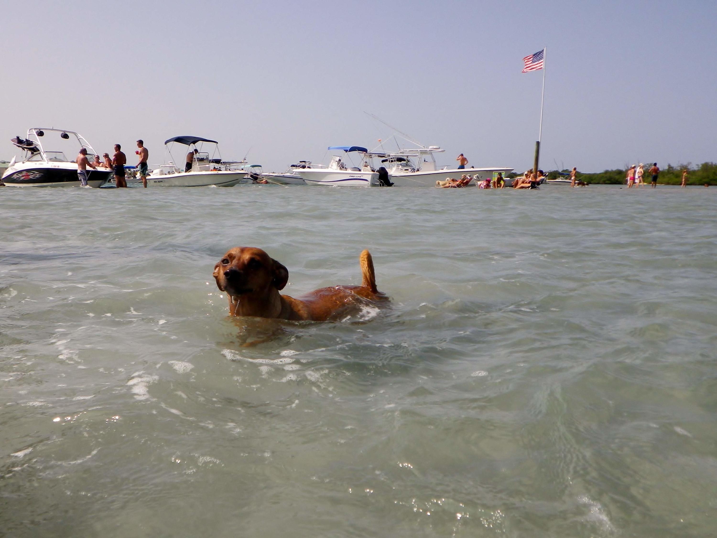1108 Chickasaw Street Jupiter, FL 33458 - Photo 32 of 32 Jupiter Sandbar Fun