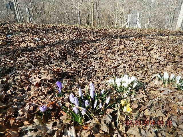 820 New Fox Road Irvine, KY 40336 - Photo 59 of 64 Photo 59