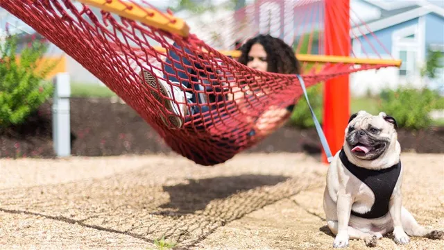 $834,900 | 838900 Wiggy Way, Austin, TX 78744