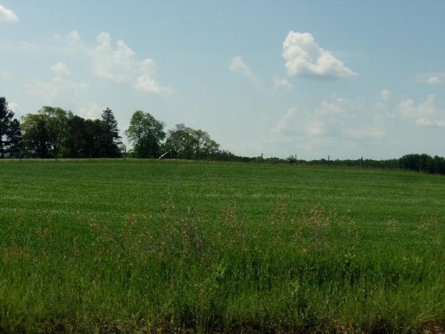 11491 Morton Road Manistee, MI 49660 - Photo 34 of 44 052