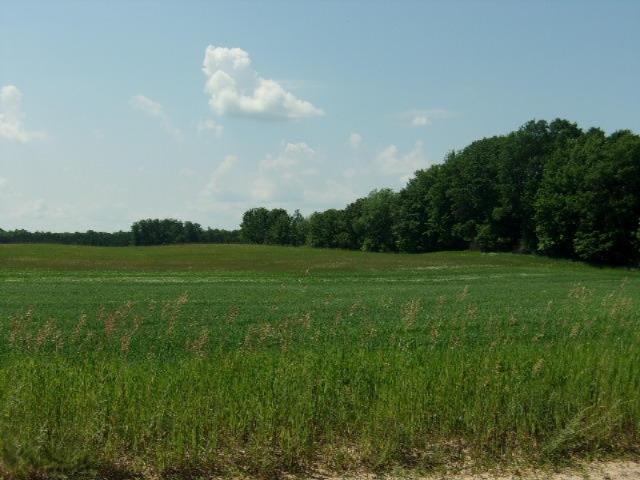 11491 Morton Road Manistee, MI 49660 - Photo 39 of 44 053