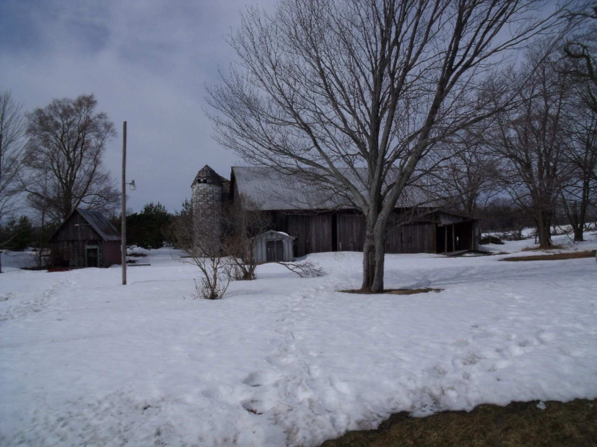 11491 Morton Road Manistee, MI 49660 - Photo 43 of 44 DSCF4544