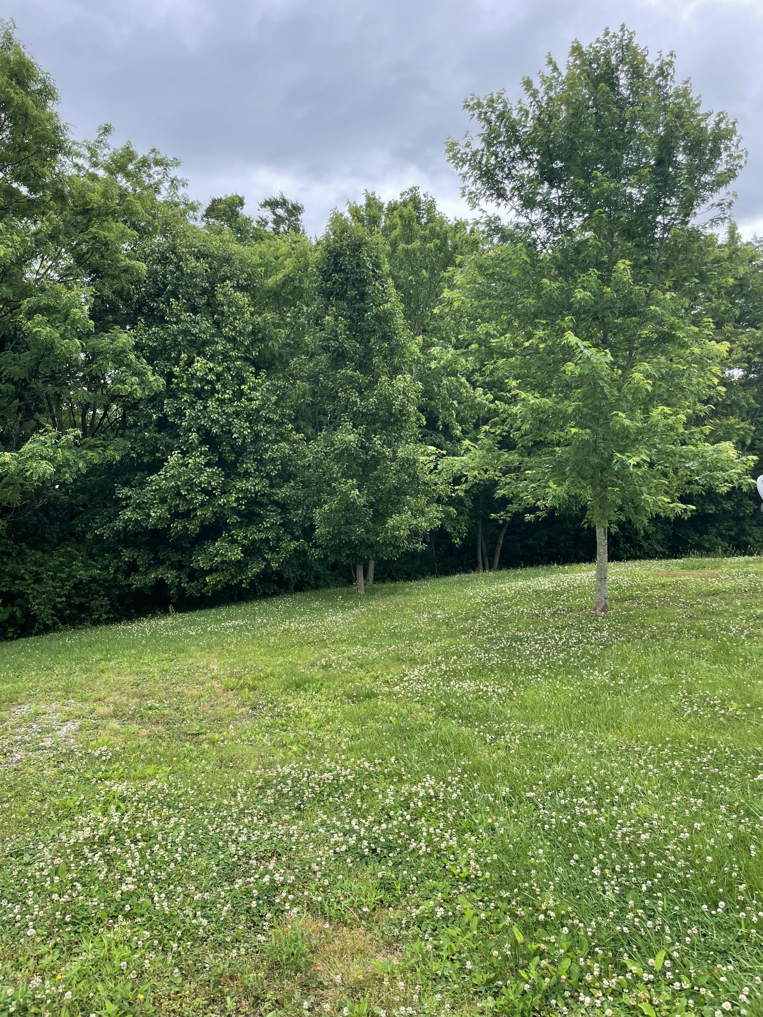 99 Cave Hollow Road Lafayette, TN 37083 - Photo 3 of 13 Gallery Image 3