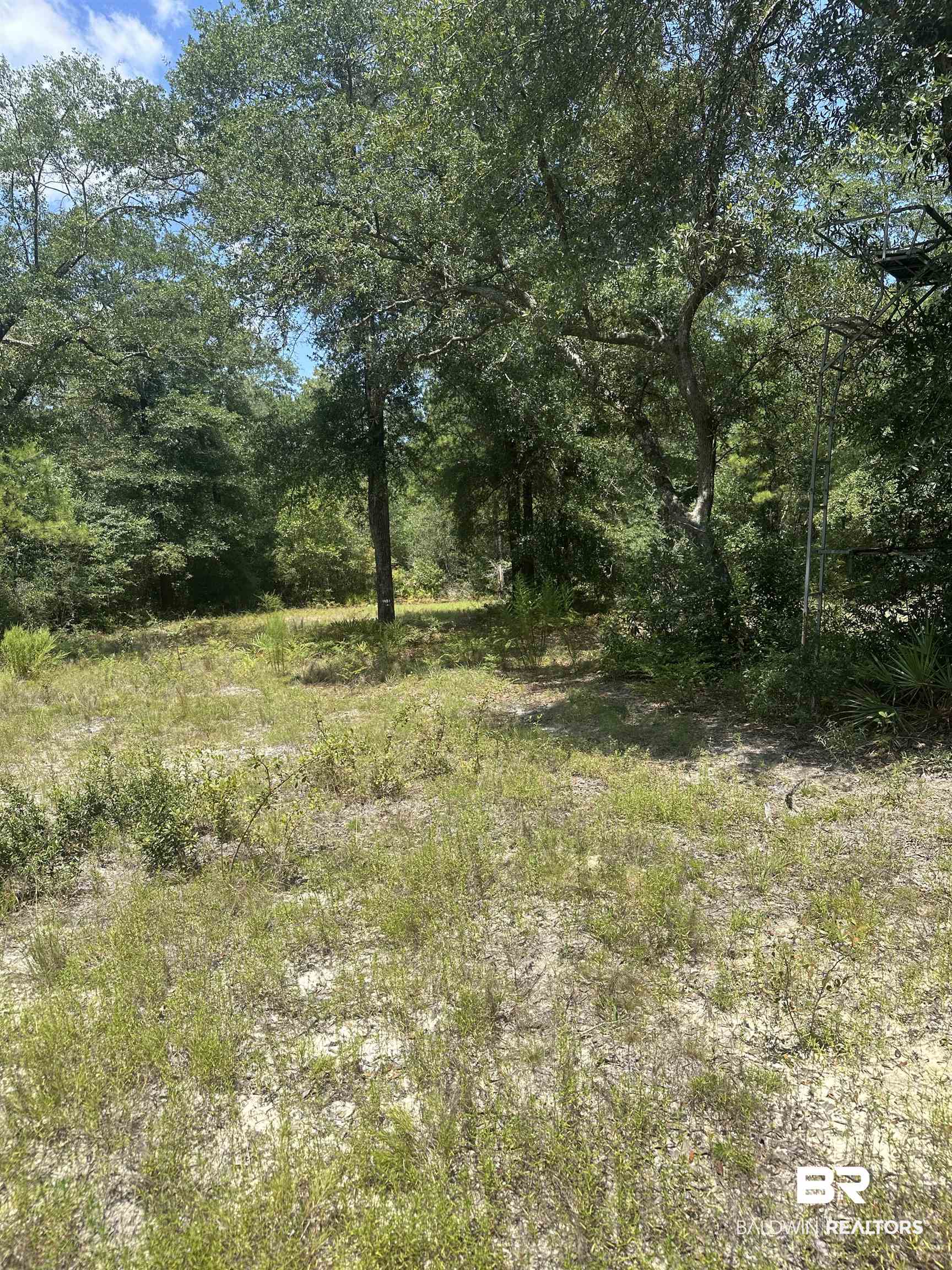 17175 Kelly Road Mount Vernon, AL 36560 - Photo 27 of 30 View of nature
