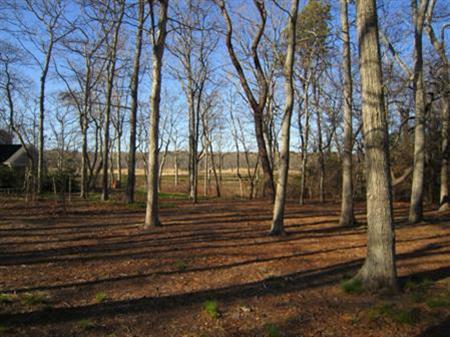 70 Captain Linnell Road Orleans, MA 02653 - Photo 3 of 6 Additional Photo