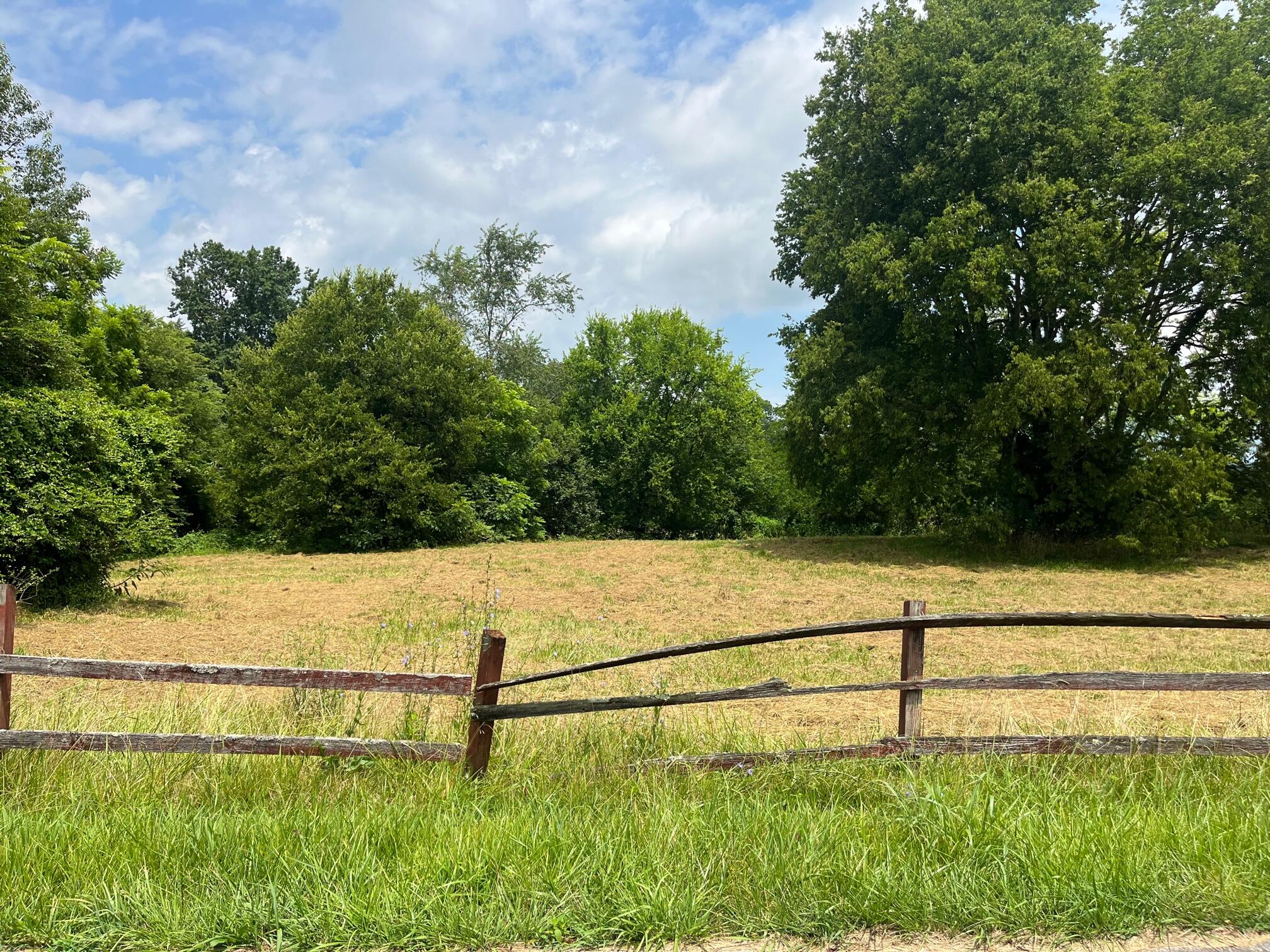 Tbd Gregg Mill Road Greeneville, TN 37743 - Photo 1 of 39 Summer field fence