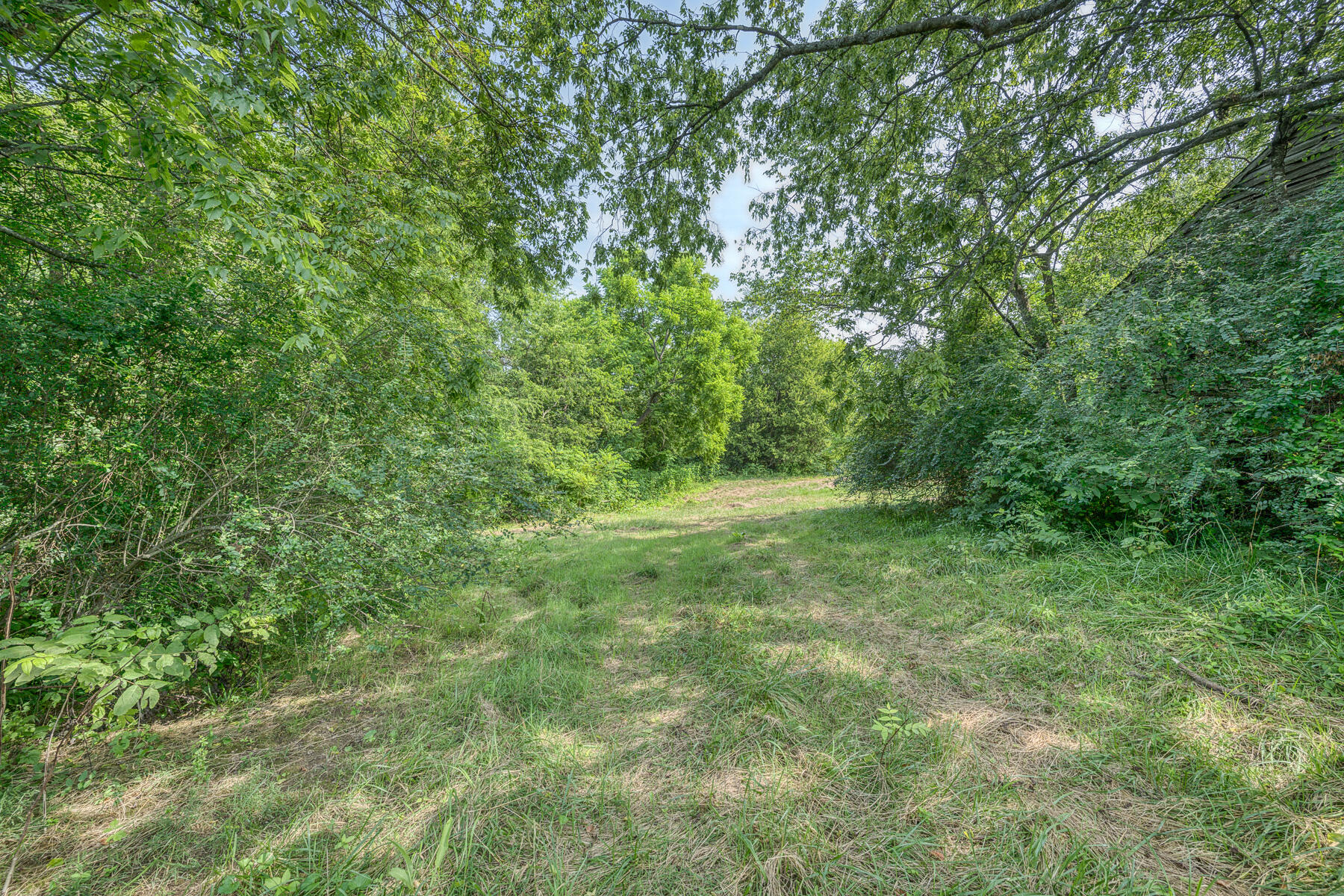 Tbd Gregg Mill Road Greeneville, TN 37743 - Photo 12 of 39 TBD Gregg Mill Rd 2
