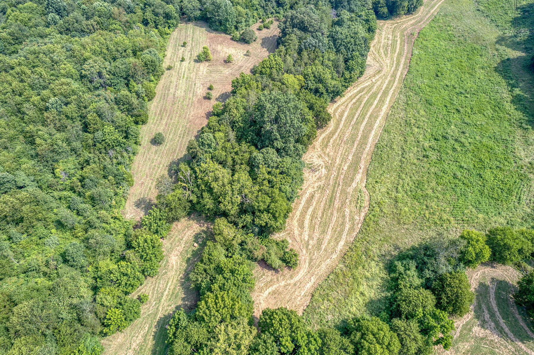 Tbd Gregg Mill Road Greeneville, TN 37743 - Photo 16 of 39 TBD Gregg Mill Rd 6