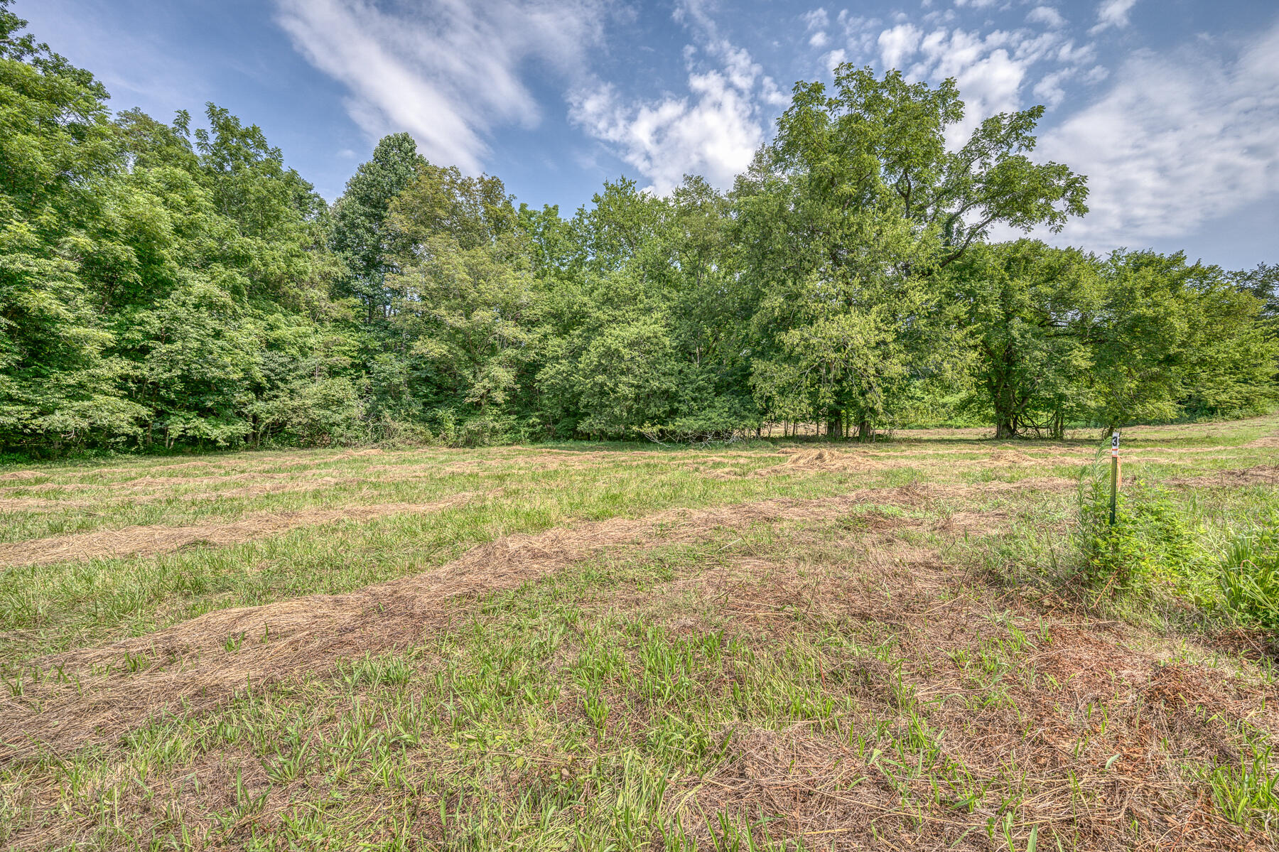 Tbd Gregg Mill Road Greeneville, TN 37743 - Photo 24 of 39 TBD Gregg Mill Rd 14